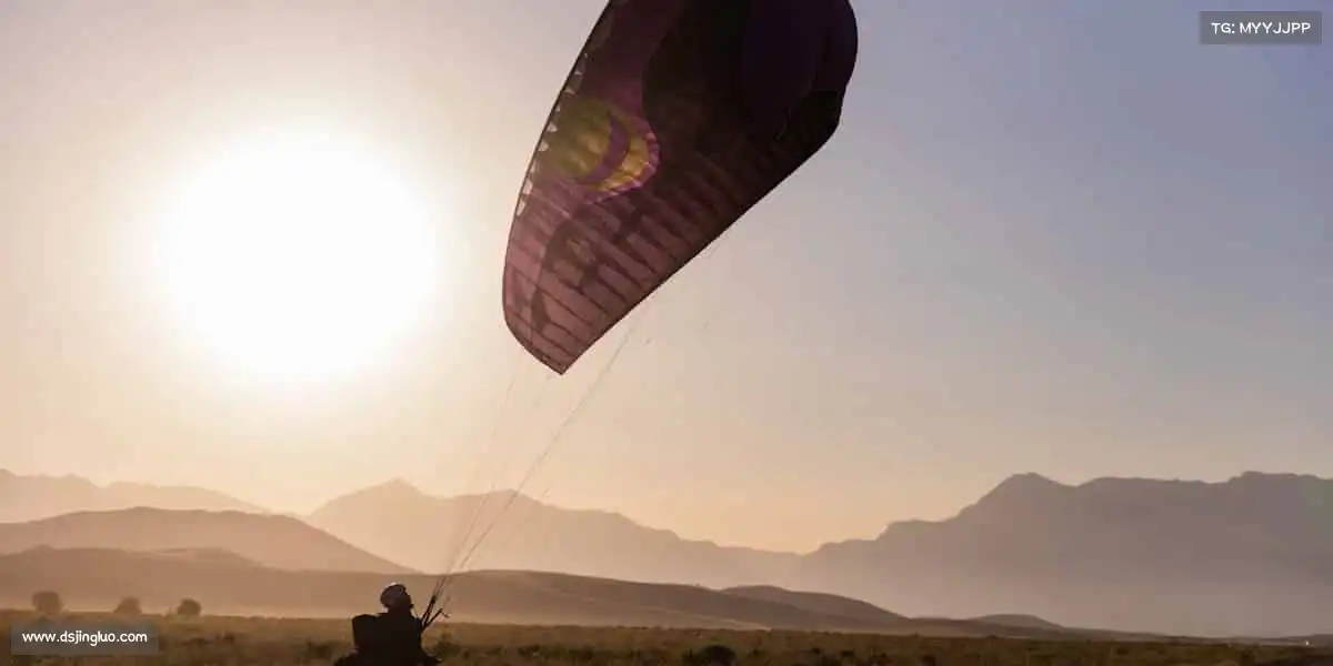 行业领先的理由